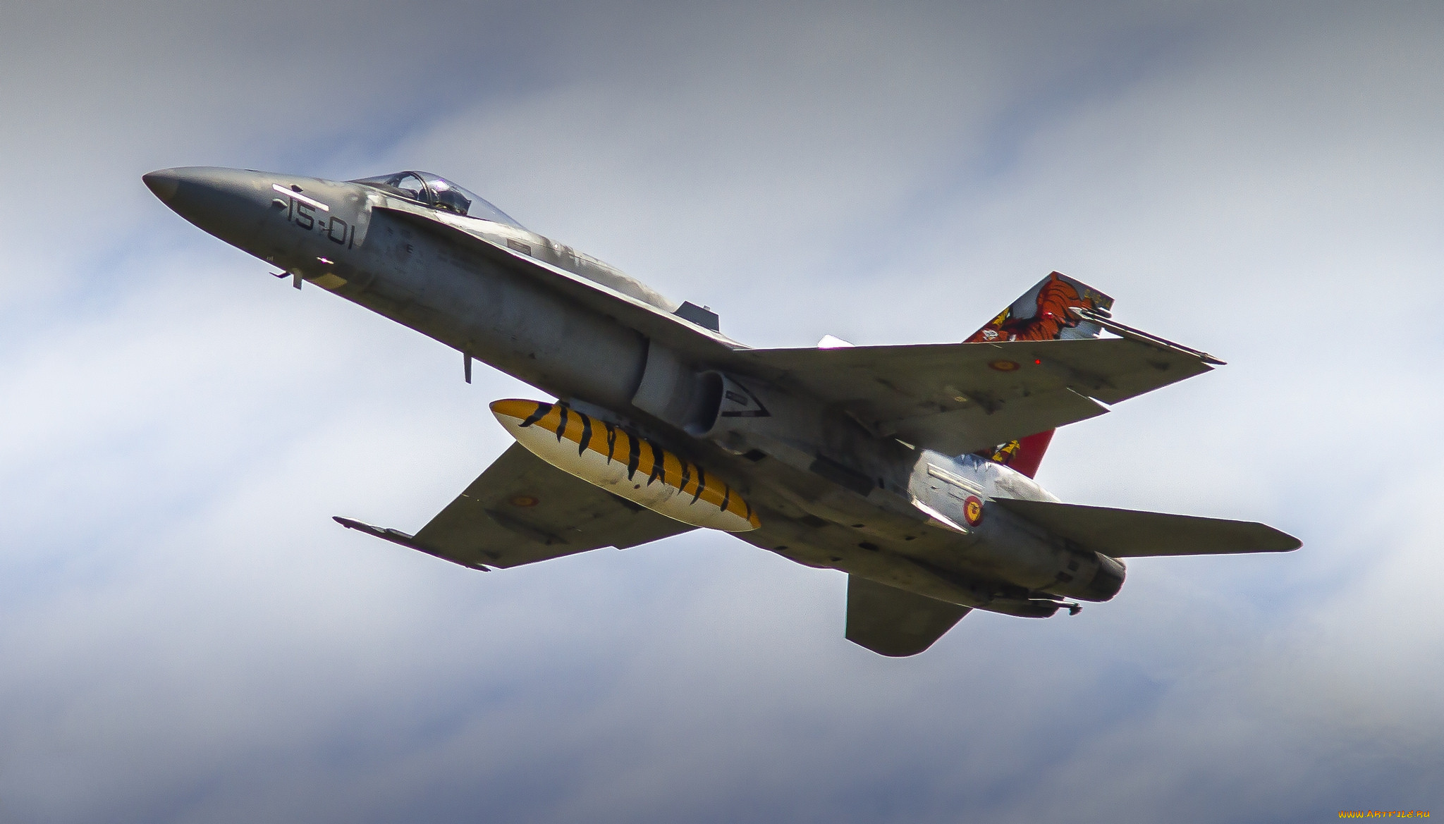 mcdonnell douglas ef-18m hornet, ,  , 